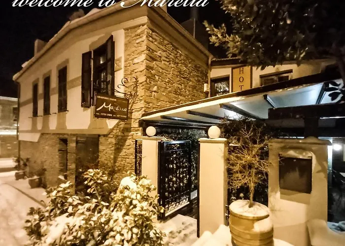 Marelia Hotel Polýgyros